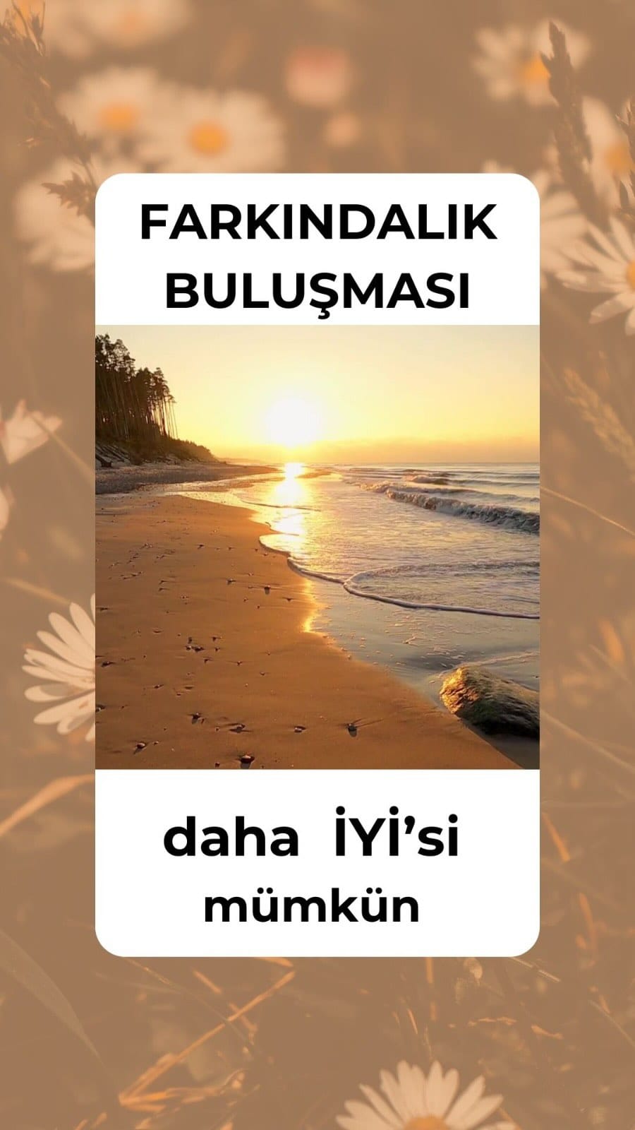 Post 3 by Şenay Gültan on Instagram (video)