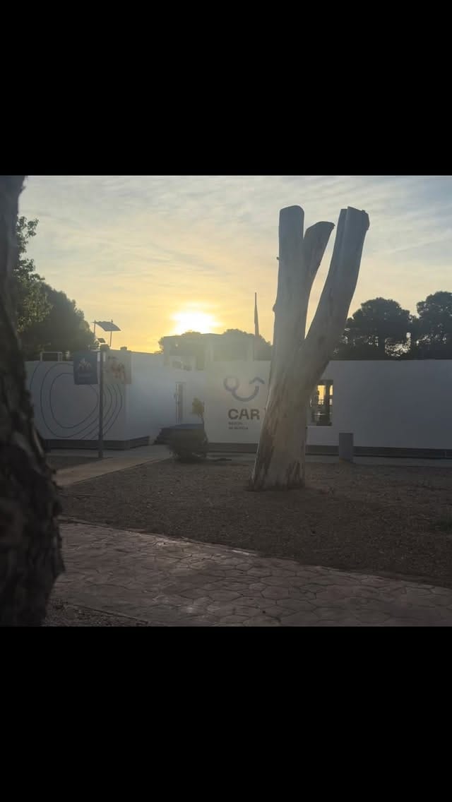 Post 8 by Dani Molina on Instagram (video)