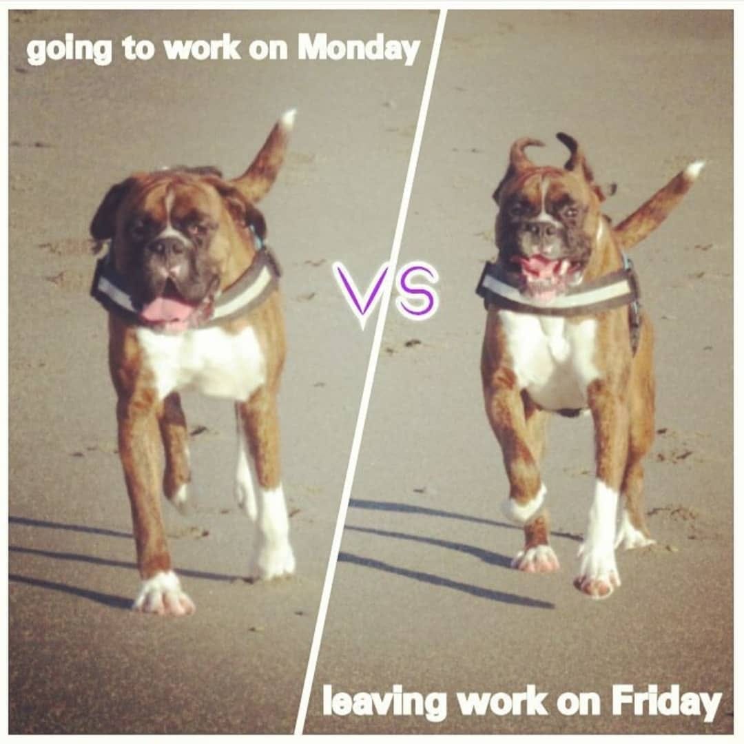 Post 6 by #pandorableposts on Instagram (image)