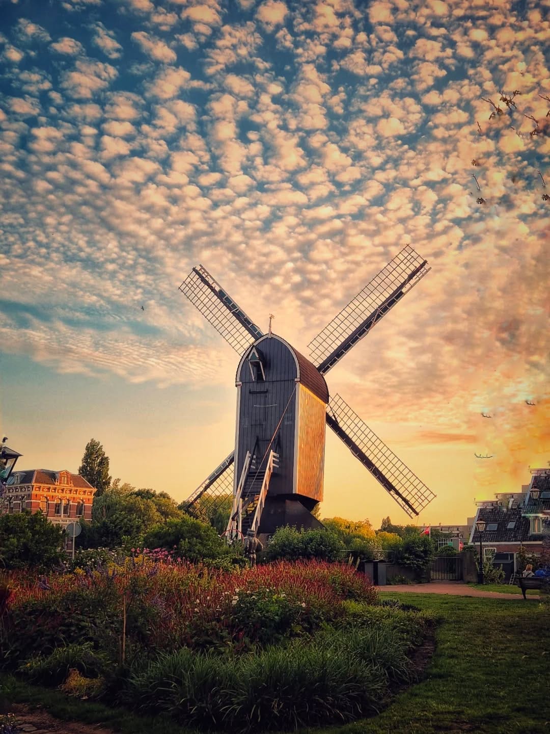 Post 4 by Carmen Huber on Instagram (image)