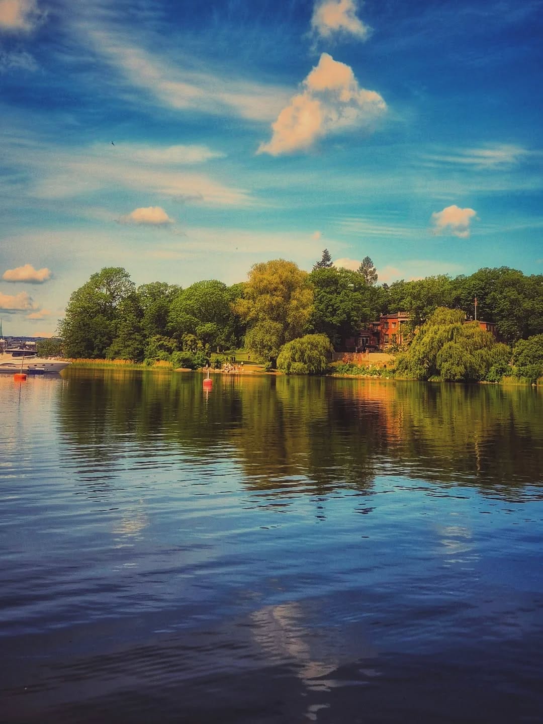 Post 8 by Carmen Huber on Instagram (image)