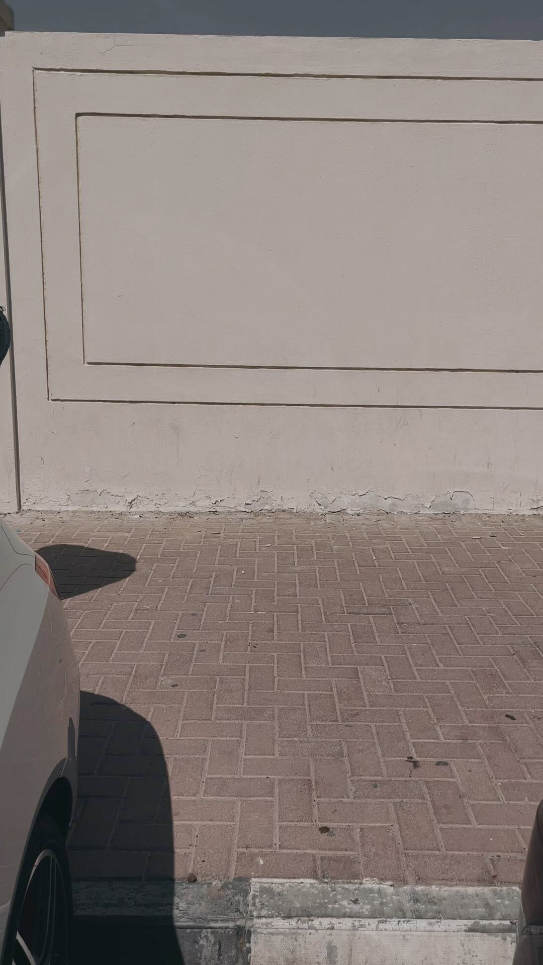 Post 6 by 𝐼𝑔𝓃𝒶𝓉𝒾𝑜𝓊𝓈𝓅𝓇𝒾𝓃𝒸𝑒  on Instagram (video)