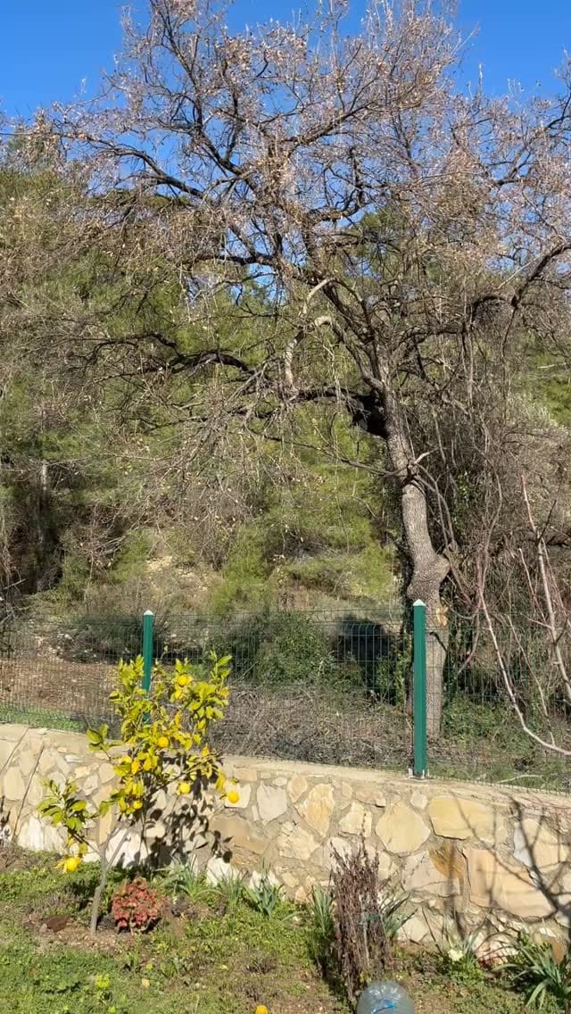Post 7 by Ali Keskin on Instagram (video)