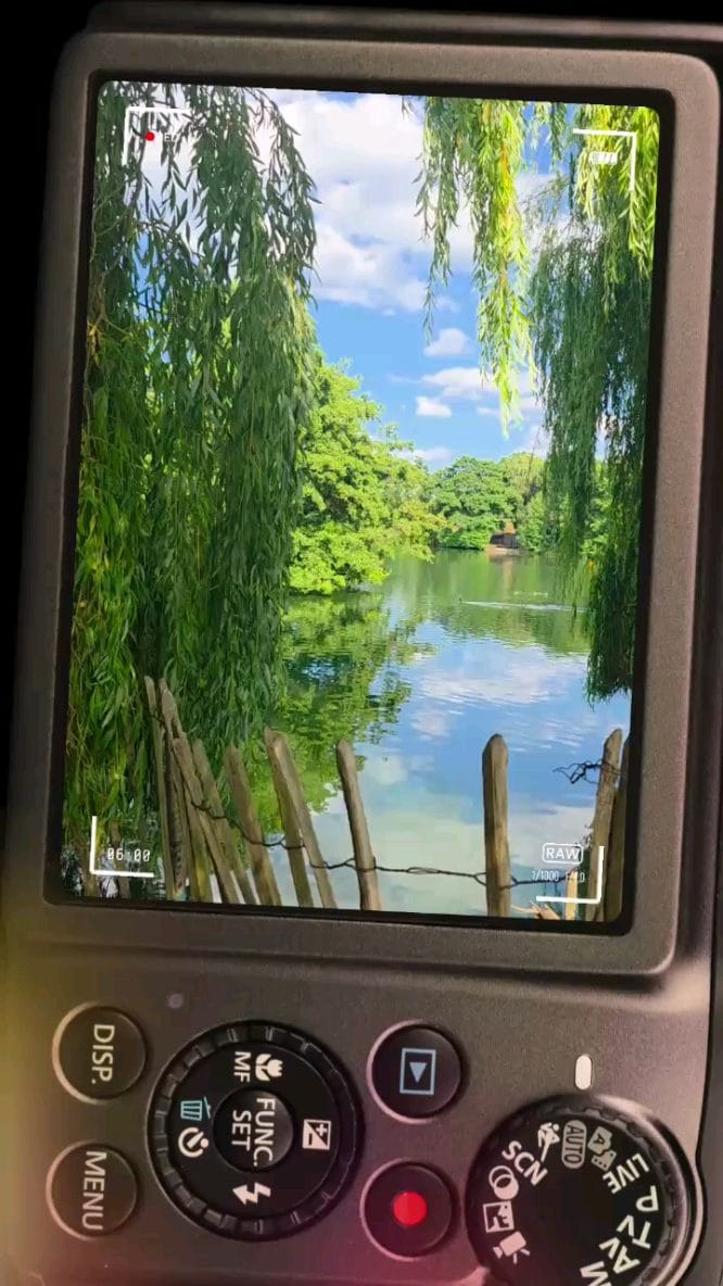Post 5 by SORREL & SPRUCE on Instagram (video)
