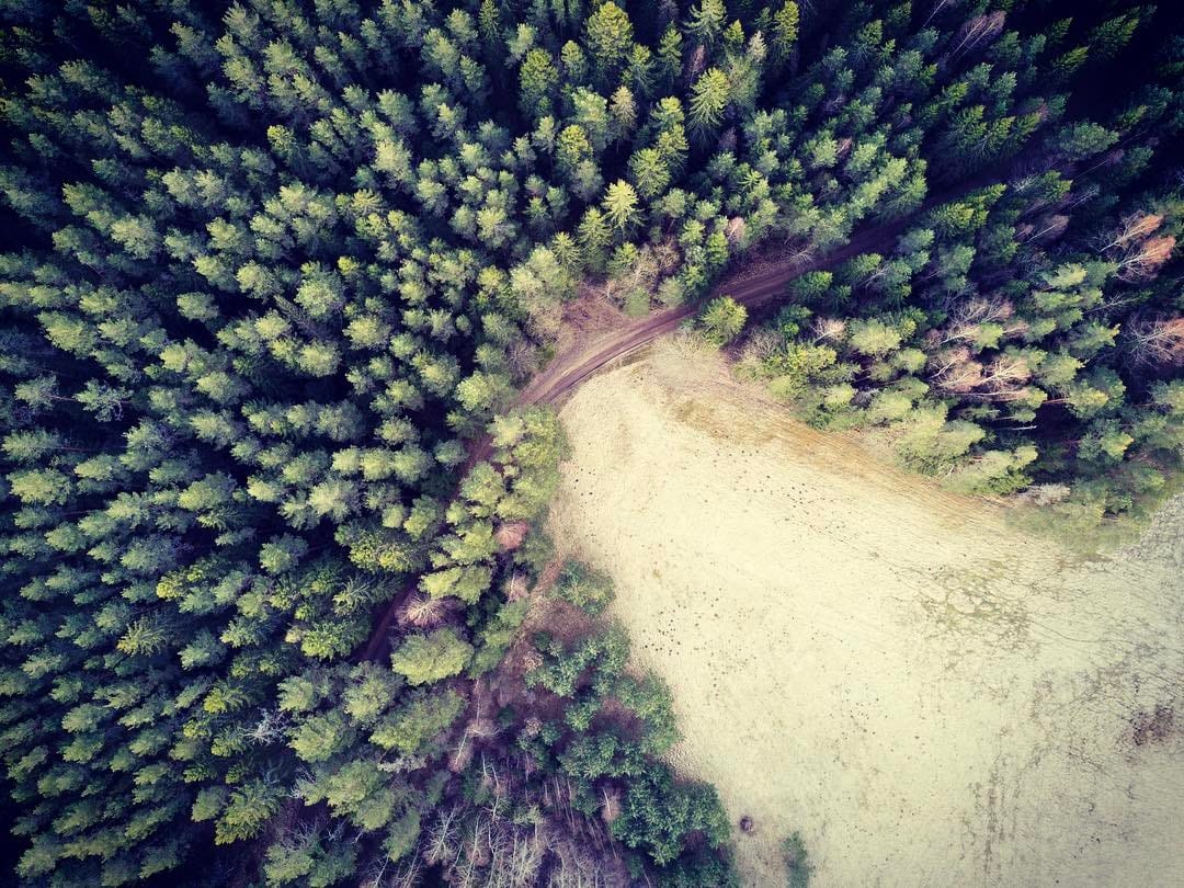 Post 6 by Tonis | 📷 beauty of nature on Instagram (image)