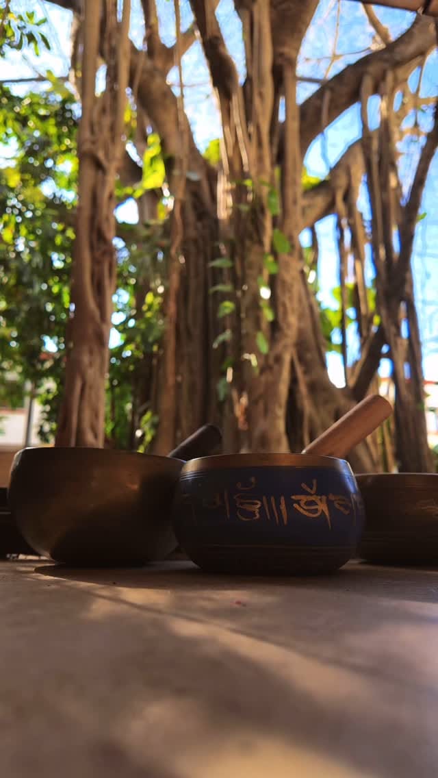 Post 9 by M a r i e l   C h a p o y on Instagram (video)