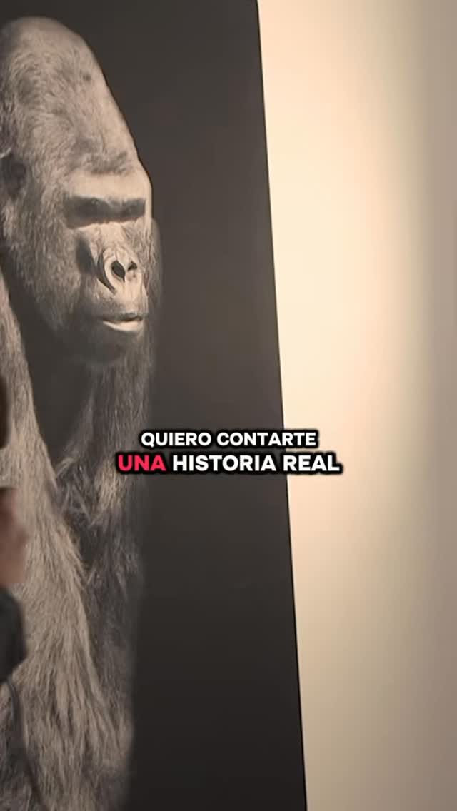 Post 8 by Santiago | The Freellionaire on Instagram (video)