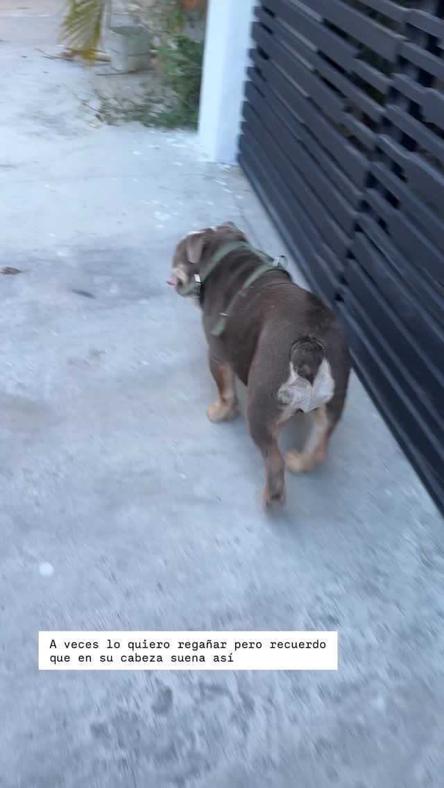 Post 1 by Geni Cortes on Instagram (video)
