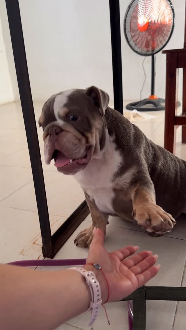 Post 5 by Geni Cortes on Instagram (video)