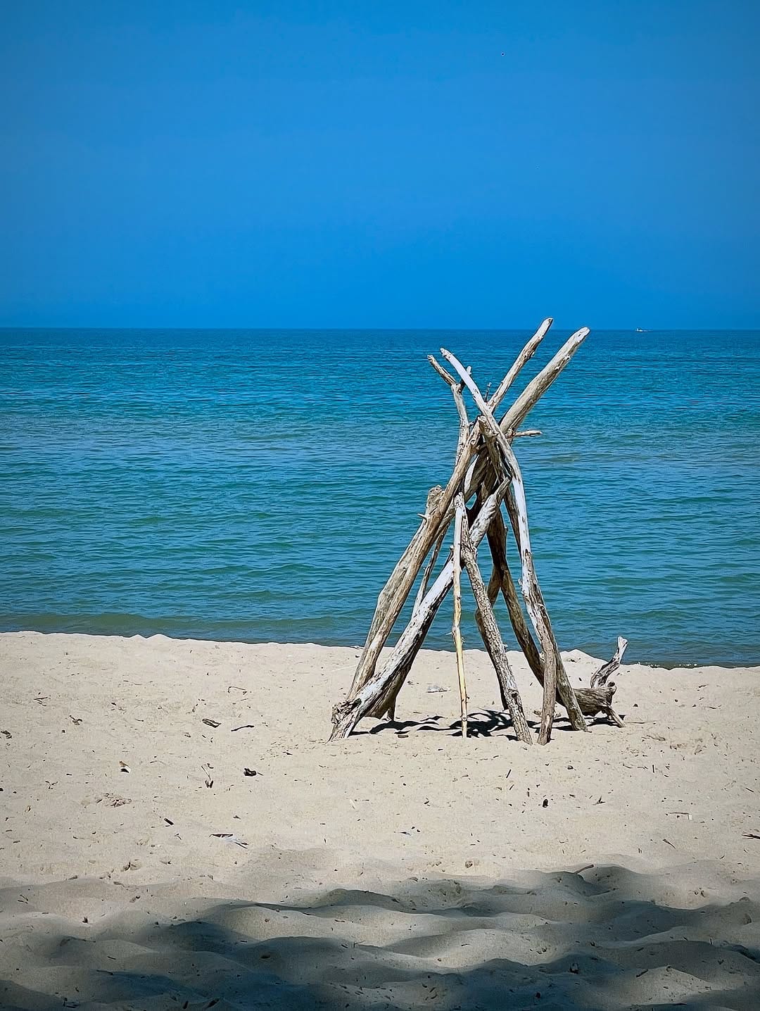 Post 9 by VB Images on Instagram (image)