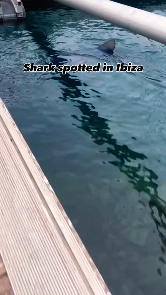 Post 1 by Ibiza Concierge Company | Ibiza 2026 on Instagram (video)