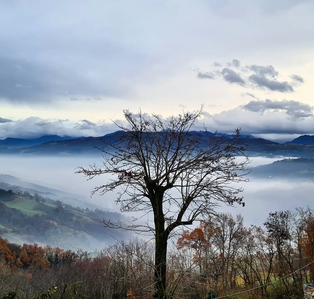 Post 9 by Lorenzo Levanti on Instagram (image)