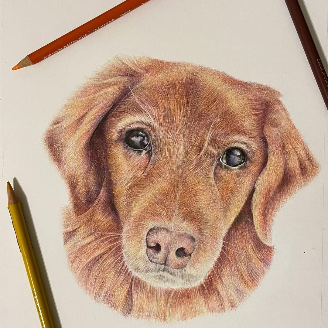 Post 7 by Rachel | Portrait Artist & Coach on Instagram (image)