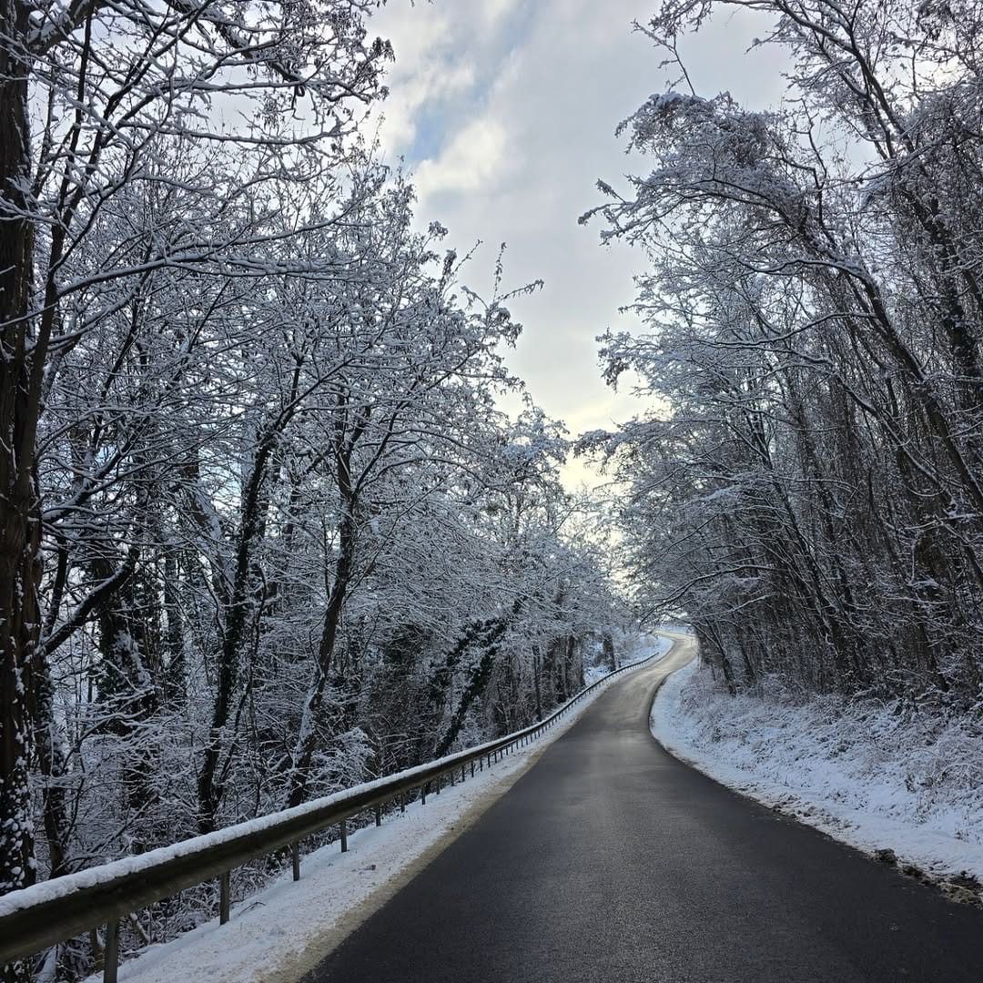 Post 2 by Olivier on Instagram (image)