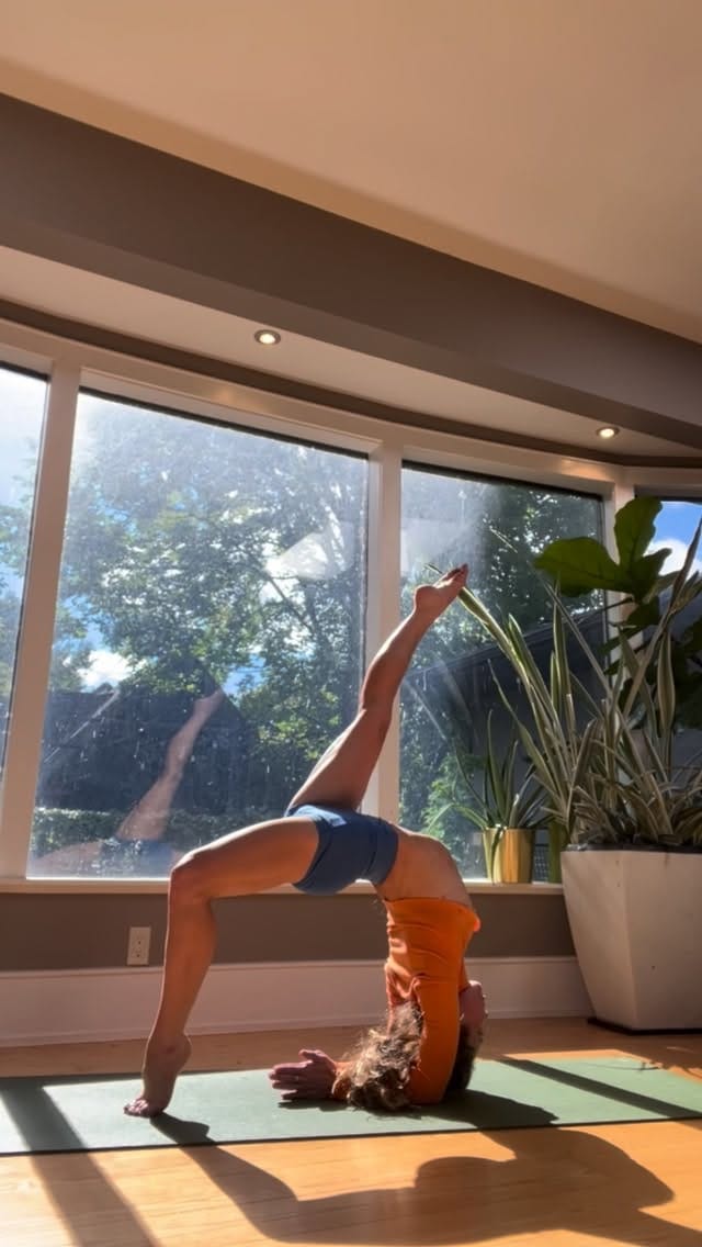 Post 8 by Amica Hilton | Yoga Teacher on Instagram (video)