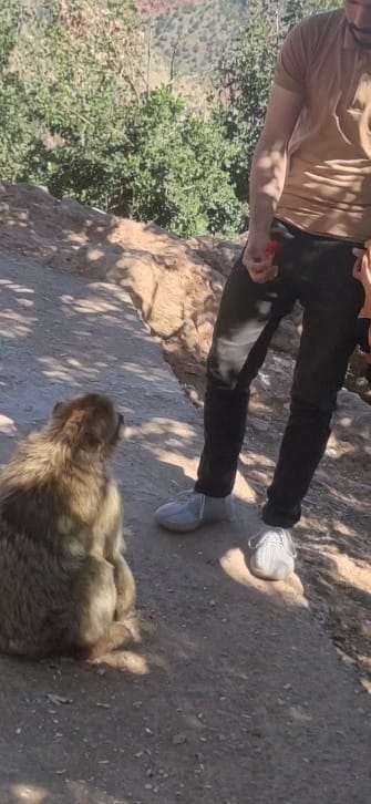 Post 4 by Omar Akazib on Instagram (video)