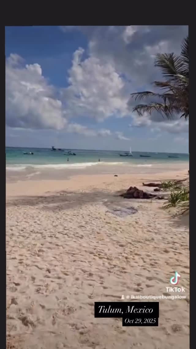 Post 5 by IKAL Bungalows TULUM Airbnb on Instagram (video)