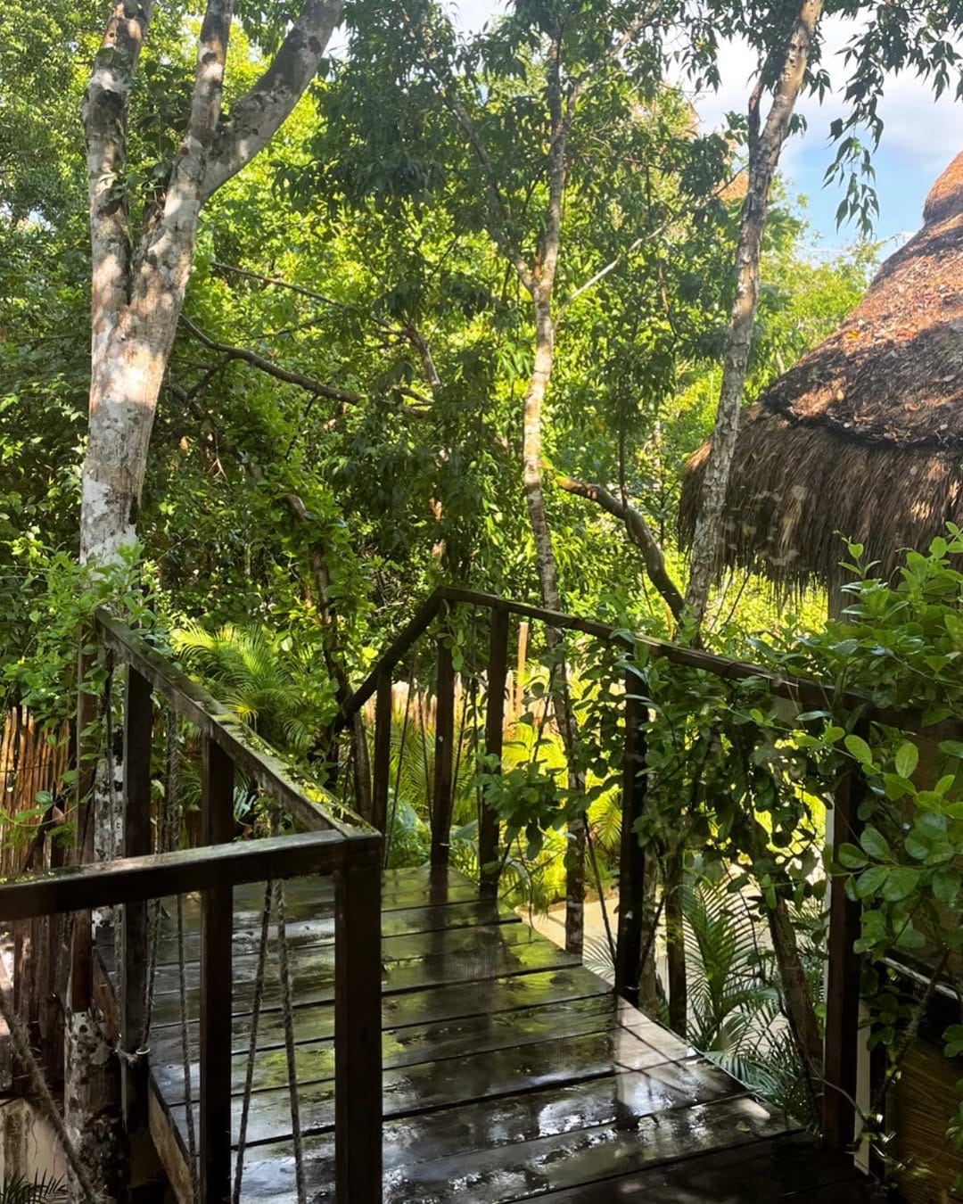 Post 9 by IKAL Bungalows TULUM Airbnb on Instagram (image)