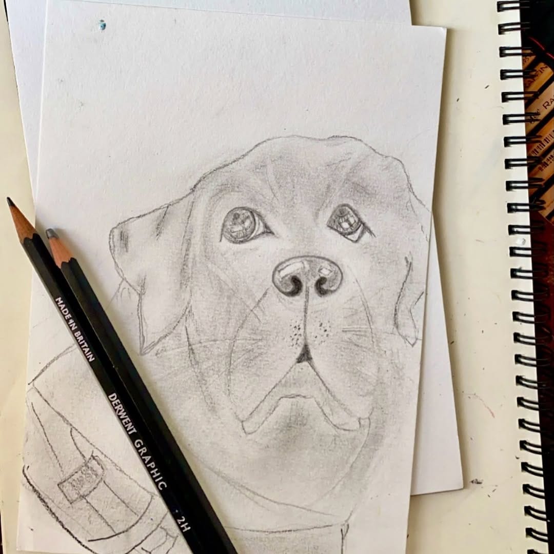 Post 3 by Priyanka Pradhan on Instagram (image)