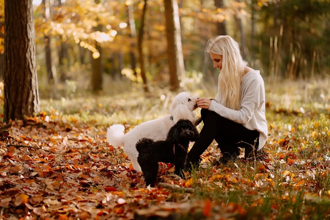 Post 2 by Aleksandra Chylak|Podróże z Pieskiem|Lifestyle|Traveler on Instagram (image)