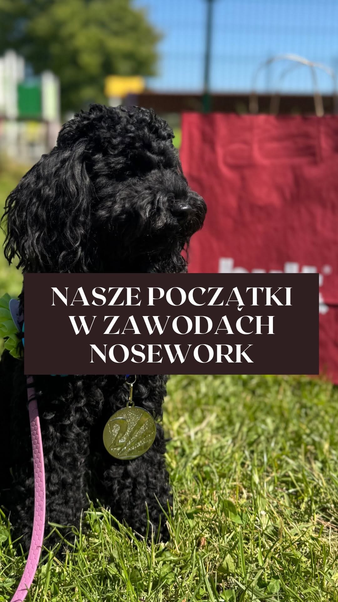 Post 5 by Aleksandra Chylak|Podróże z Pieskiem|Lifestyle|Traveler on Instagram (video)