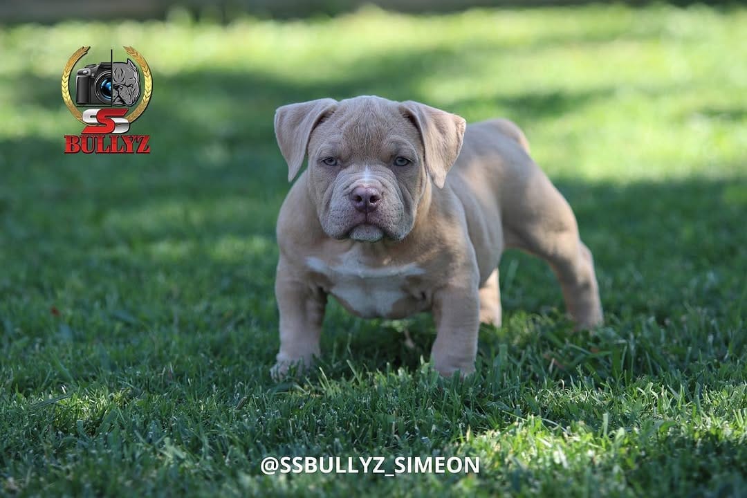 Post 10 by Simeon Scaggs on Instagram (image)