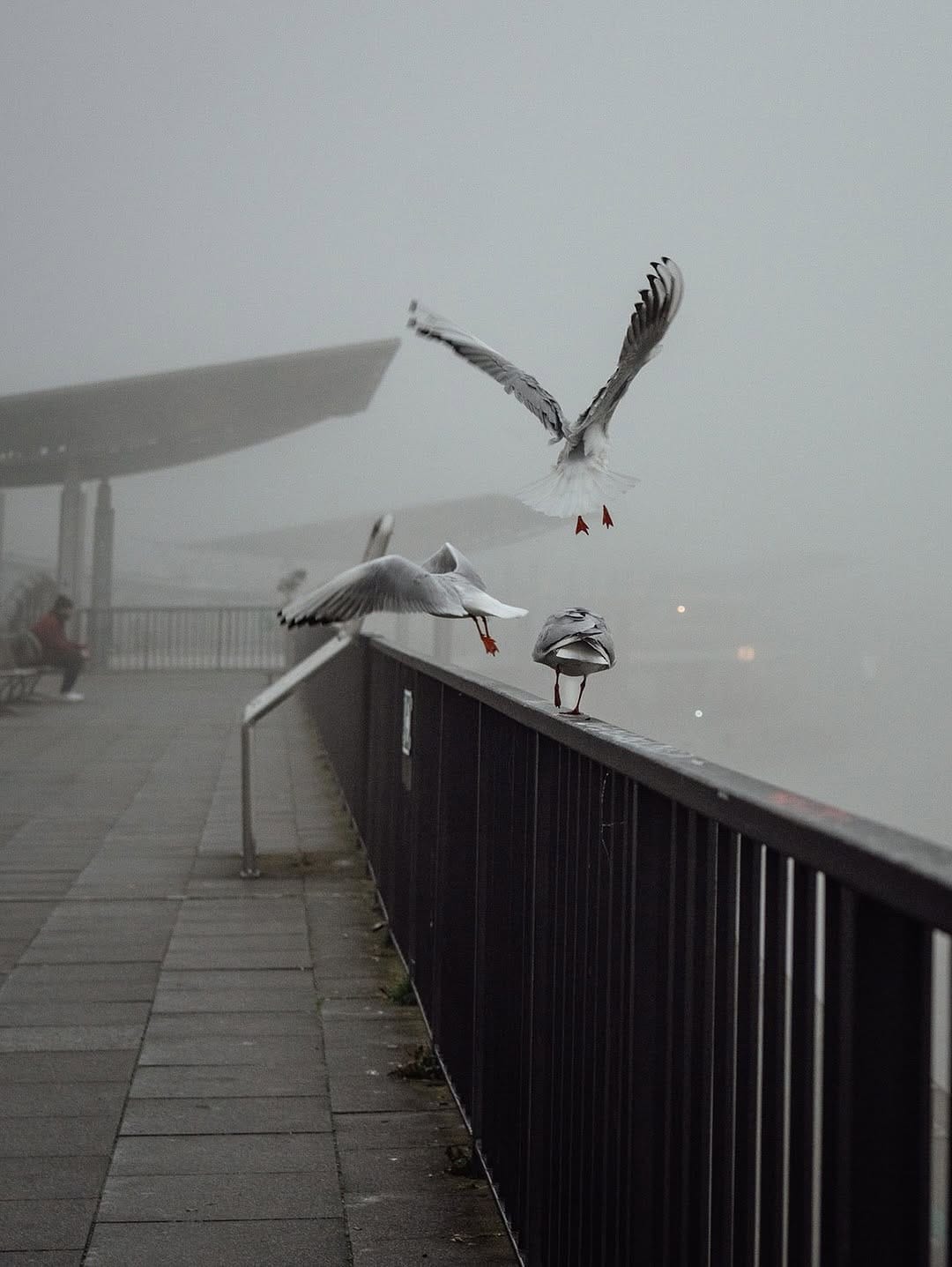 Post 2 by Hamburg Style on Instagram (image)