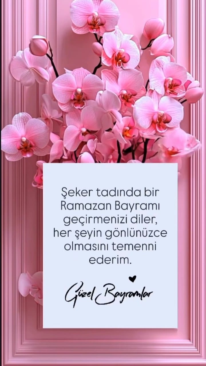 Post 2 by Ezgi Beyceoğlu on Instagram (video)