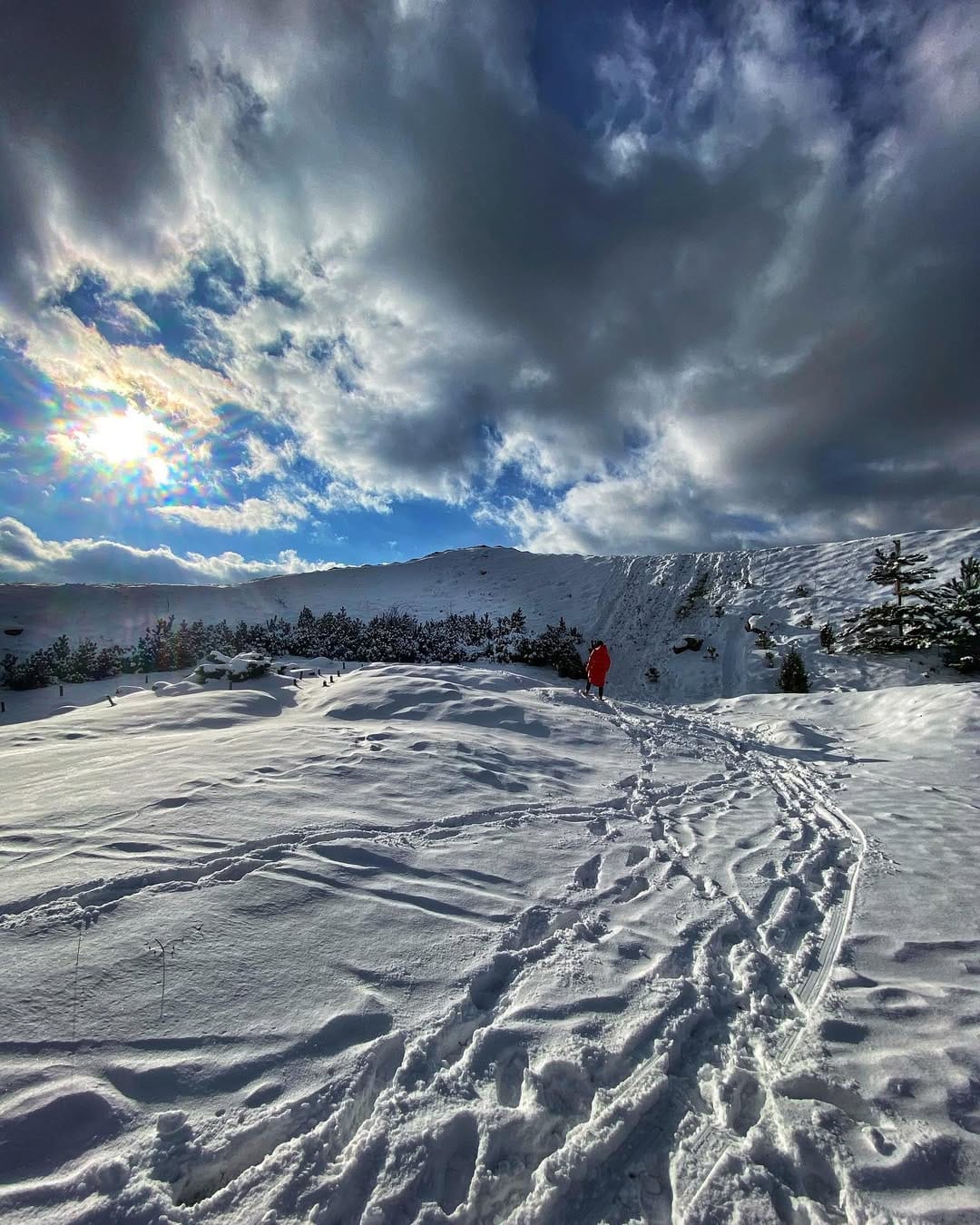 Post 6 by Yarmolchuk on Instagram (image)