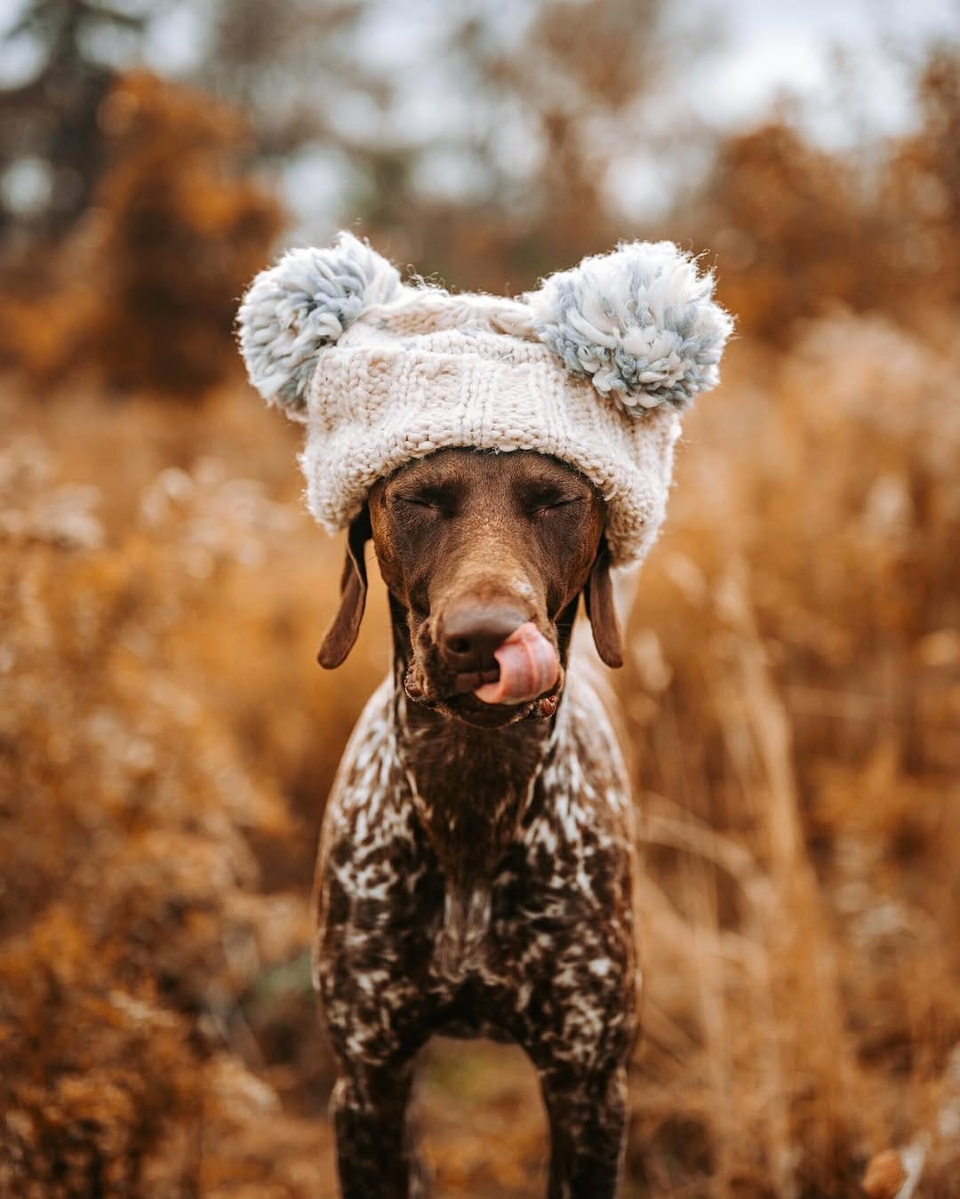 Post 3 by 𝐁𝐈𝐋𝐁𝐎 + 𝐍𝐀𝐓𝐀𝐋𝐈𝐄 on Instagram (image)