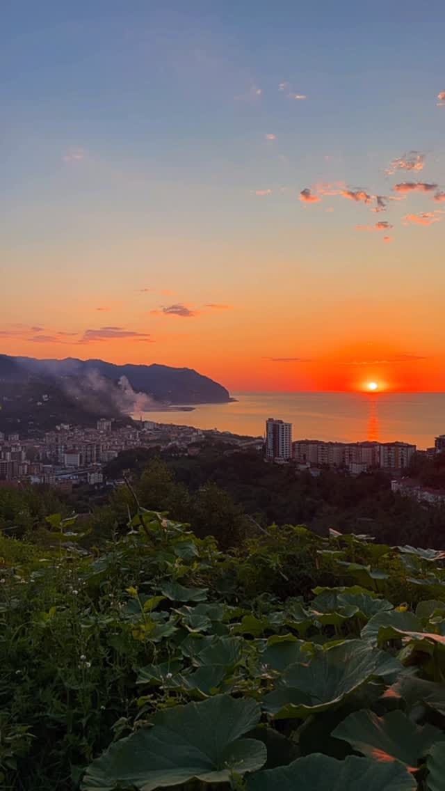 Post 1 by Ahmet M. on Instagram (video)