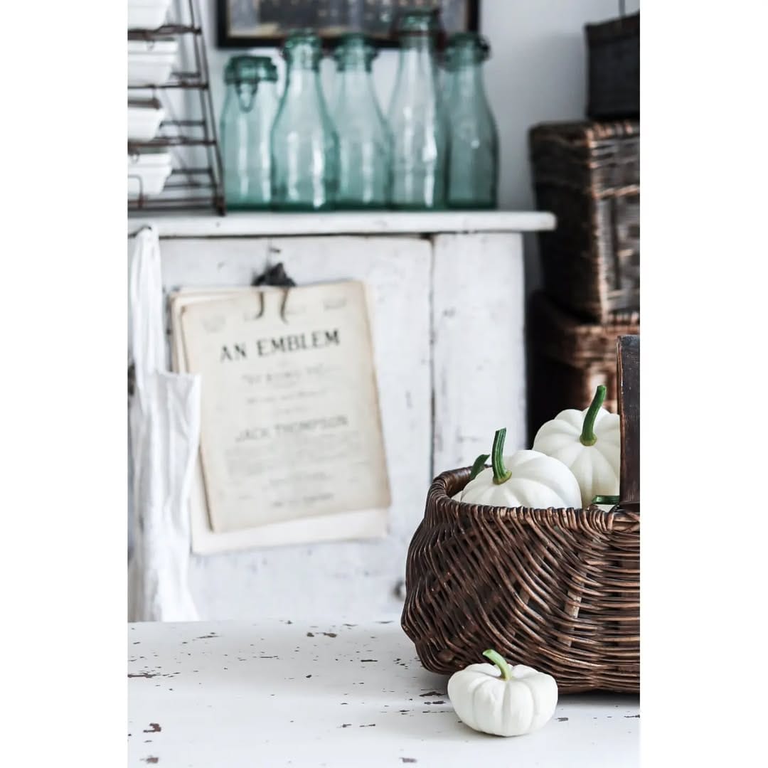 Post 3 by ✨Nicole✨ | VintageValenta on Instagram (image)