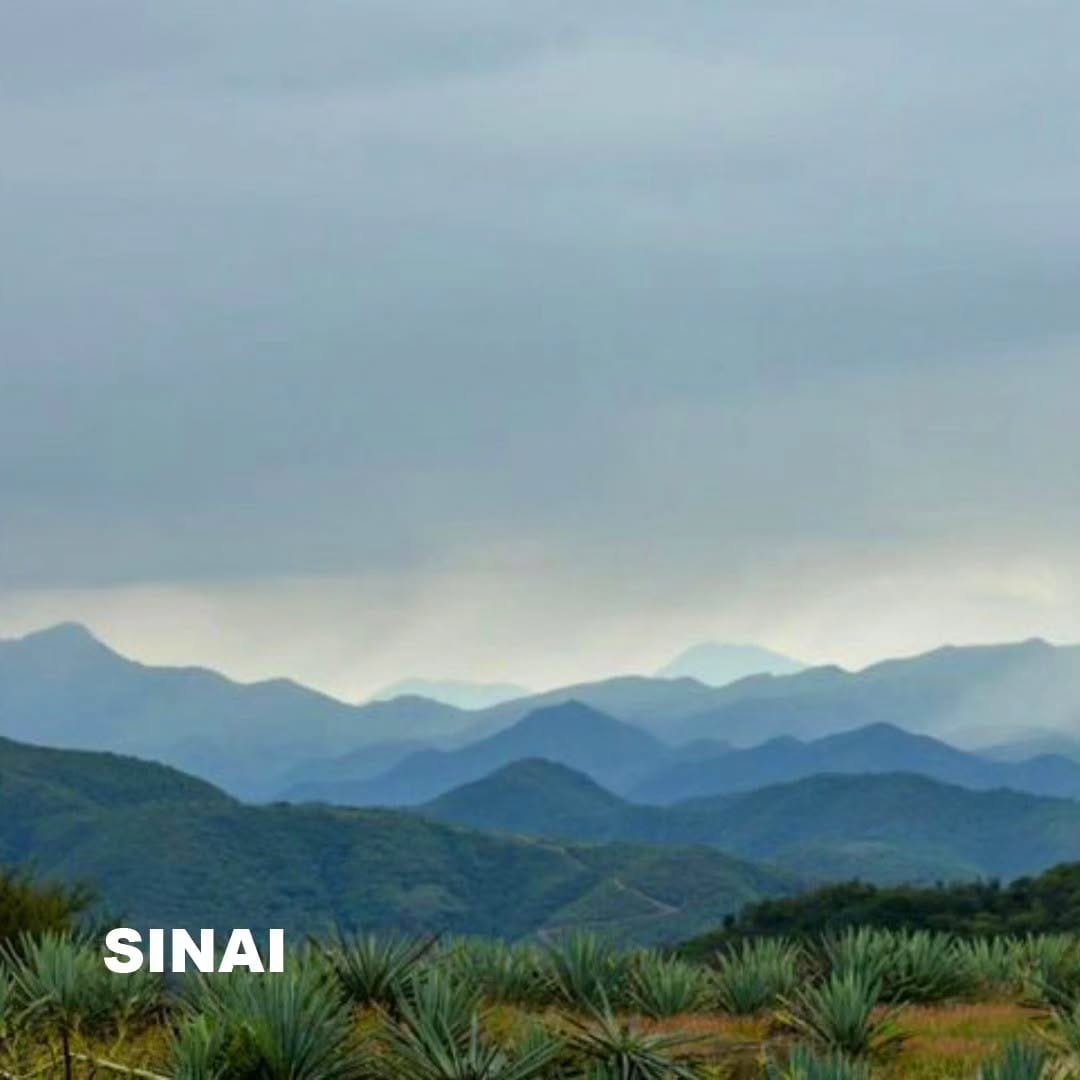 Post 10 by Mezcal Sinái Latinoamerica on Instagram (image)