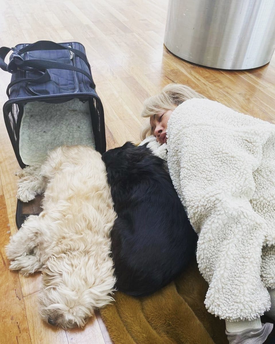 Post 5 by MACON REID/ FASHION MODEL on Instagram (image)