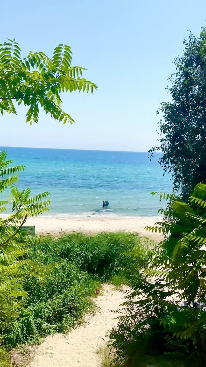 Post 9 by Okan Nazlı on Instagram (video)