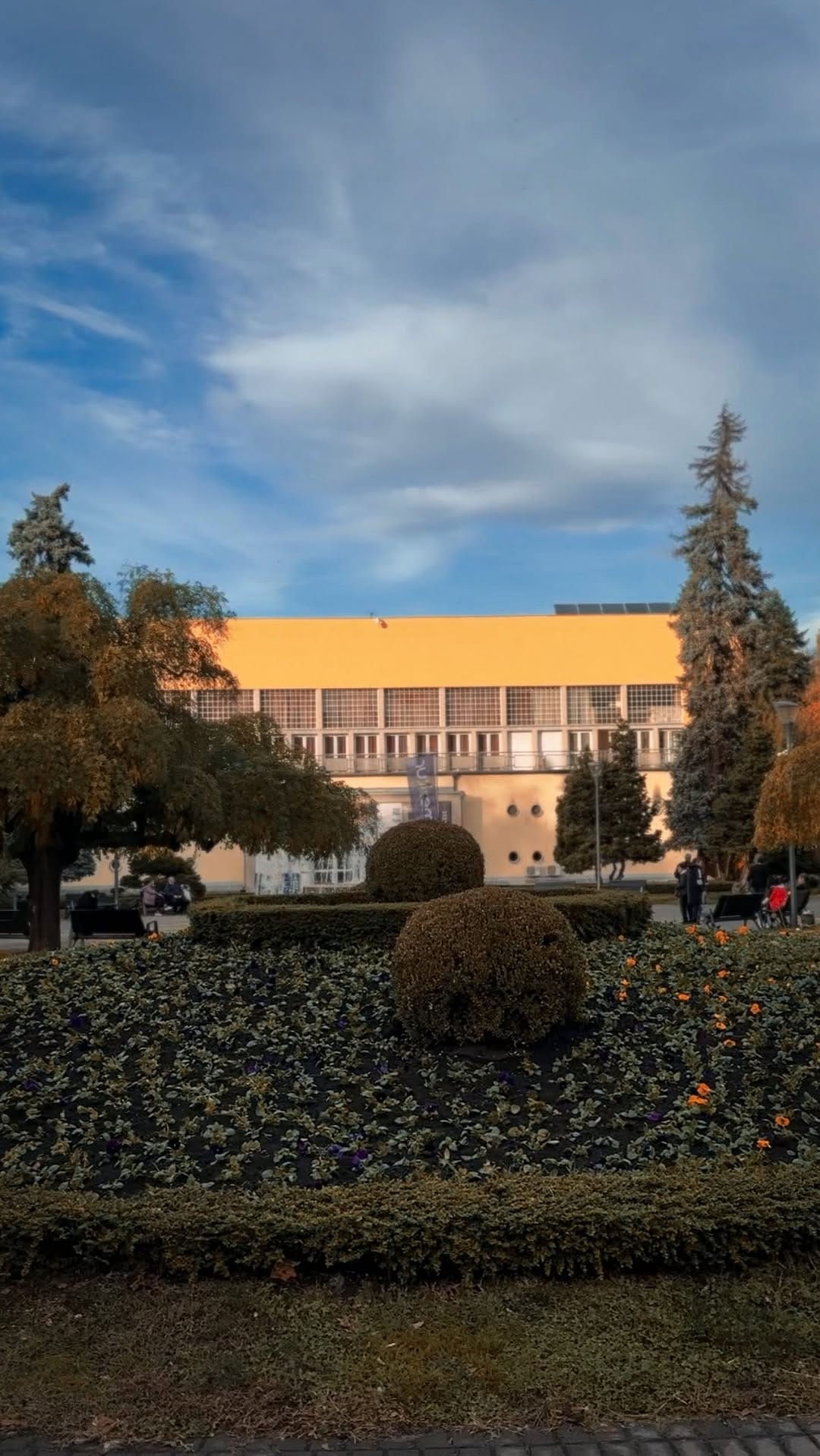 Post 7 by Mr & Mrs Radosavljevic on Instagram (video)