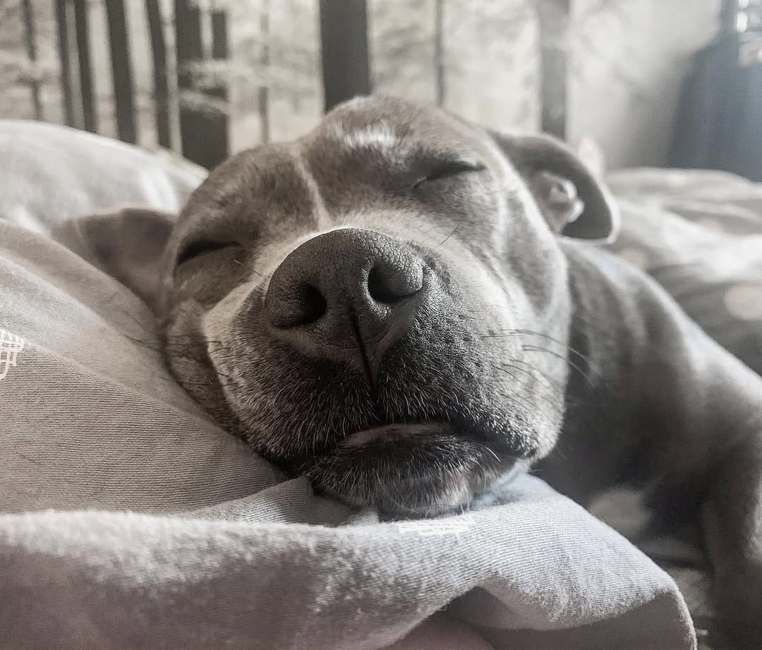 Post 6 by E L L I E on Instagram (image)
