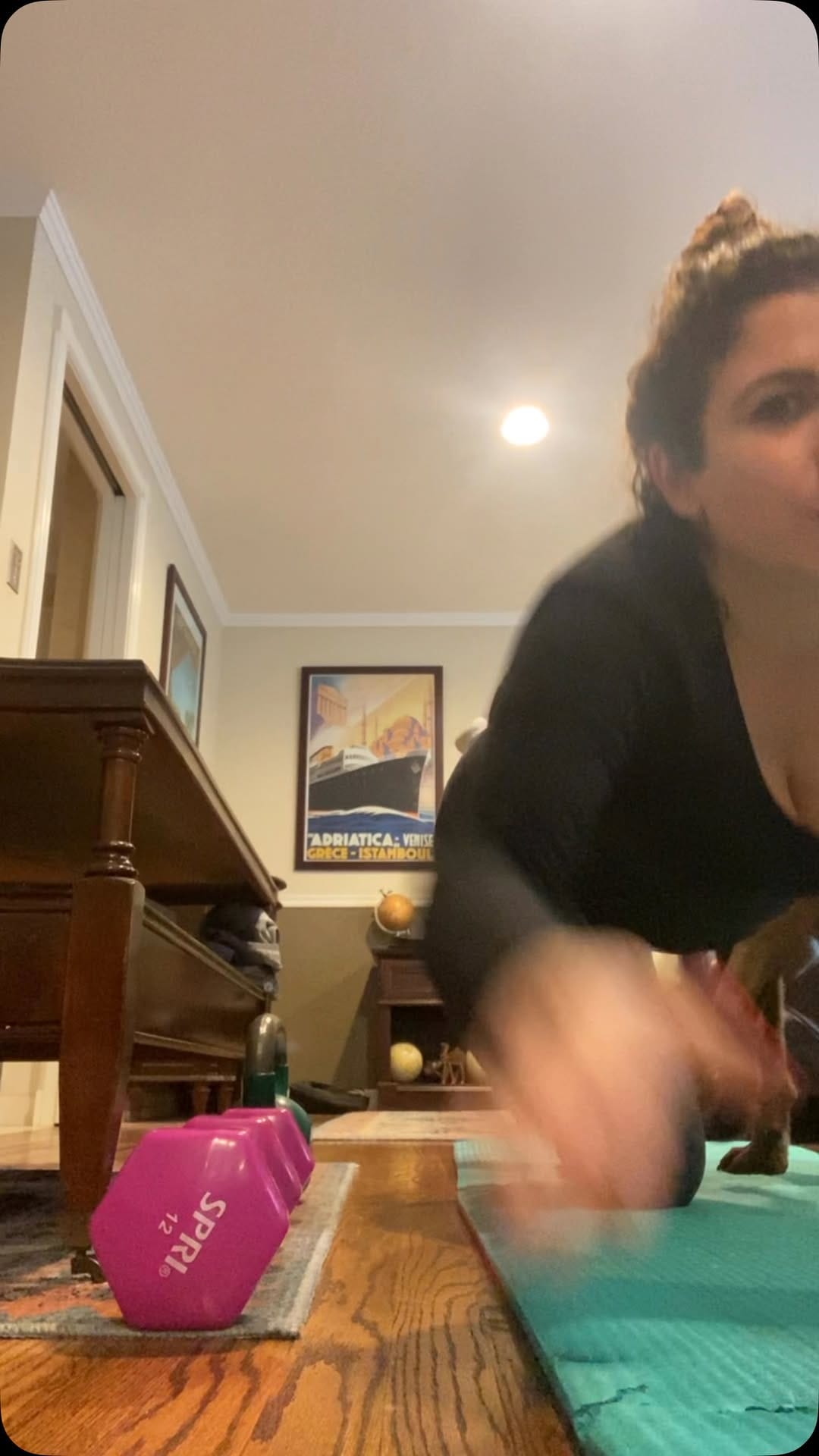 Post 1 by Elizabeth - The Americana Post on Instagram (video)