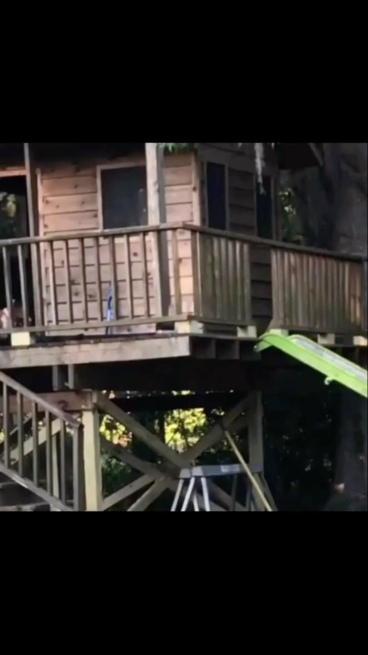 Post 3 by Mcdonaldcorgis on Instagram (video)