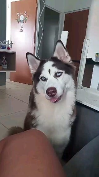 Post 8 by @rubby_wolf on Instagram (video)