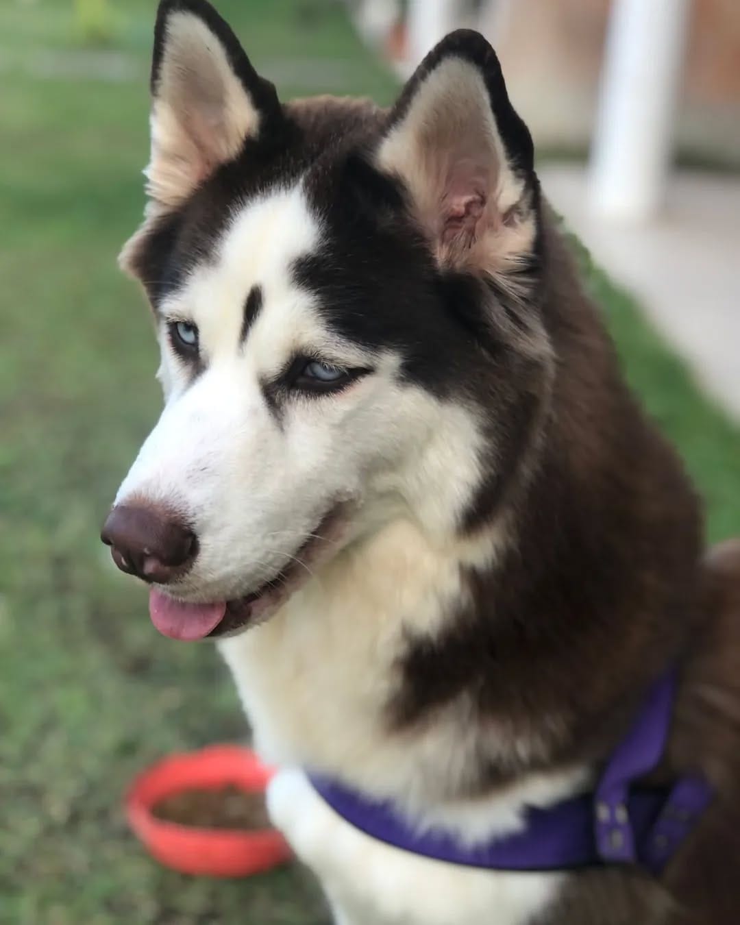 Post 4 by @rubby_wolf on Instagram (image)