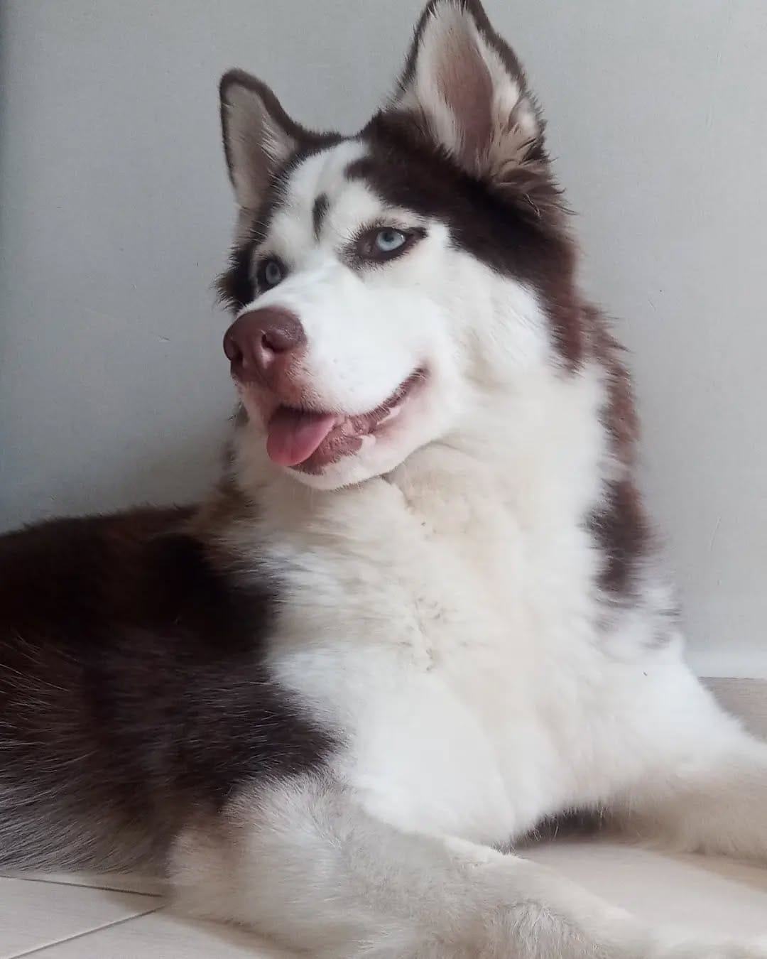 Post 3 by @rubby_wolf on Instagram (image)