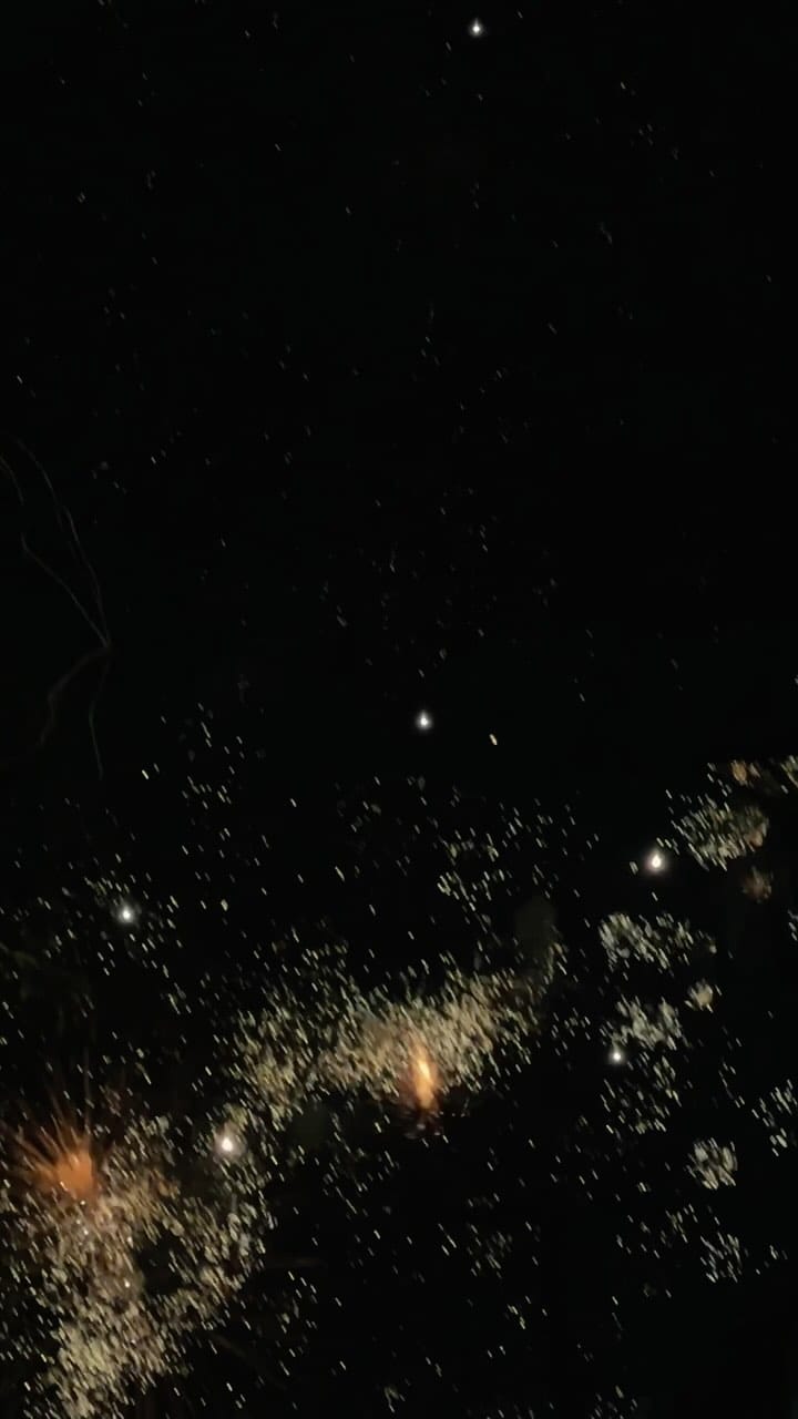 Post 5 by Zac Warkentin on Instagram (video)