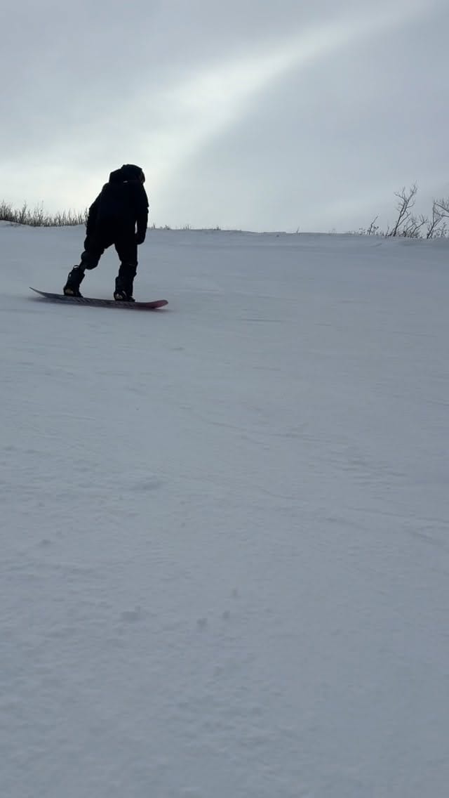 Post 2 by Franken Stein on Instagram (video)
