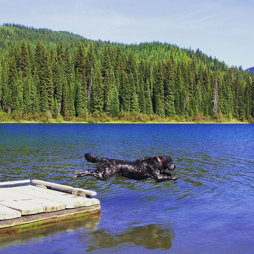 Post 6 by Keefer Lake Lodge Summers on Instagram (image)