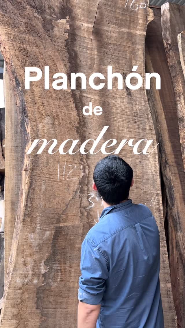 Post 2 by Forestal Xochimilco on Instagram (video)