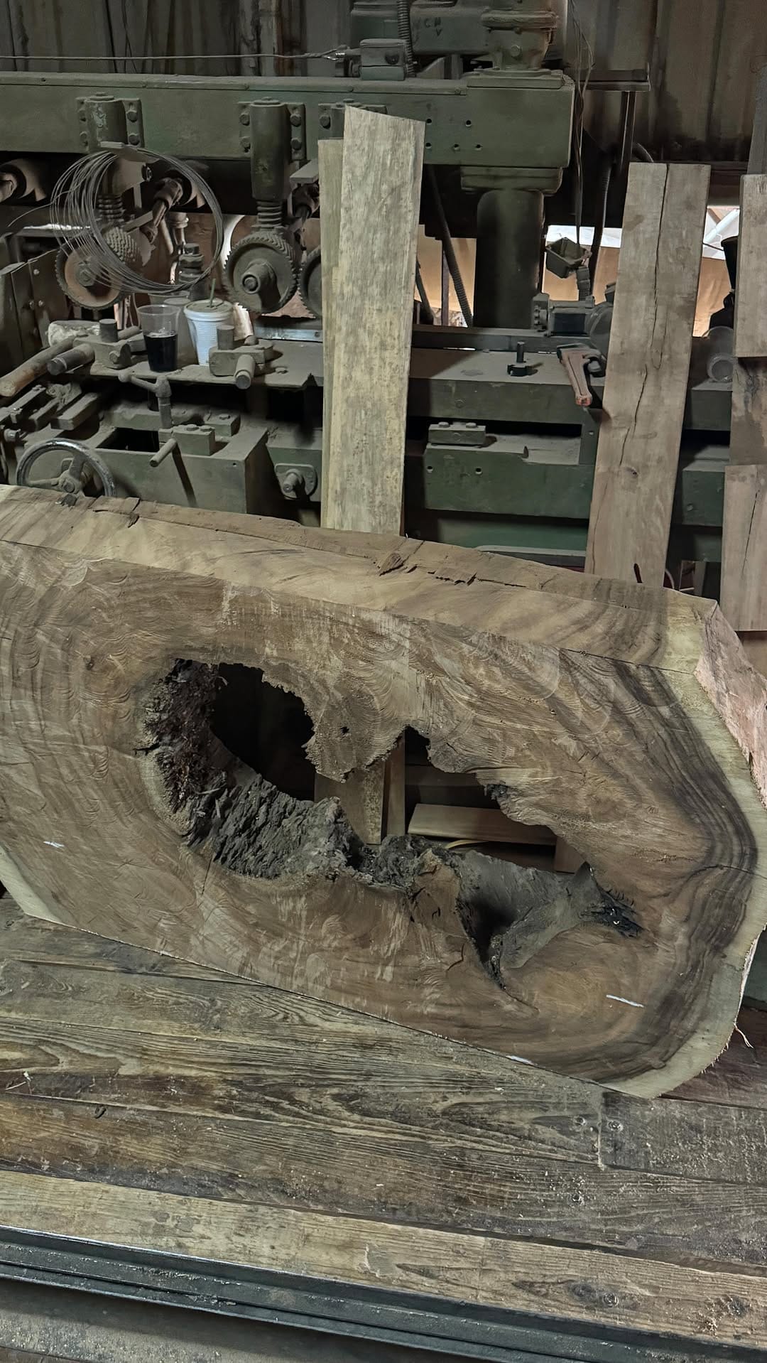Post 8 by Forestal Xochimilco on Instagram (video)