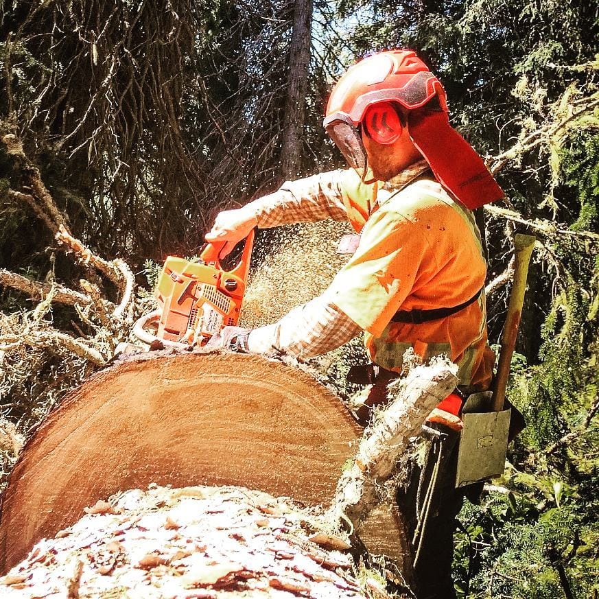 Post 4 by Keefer Lake Lodge Summers on Instagram (image)