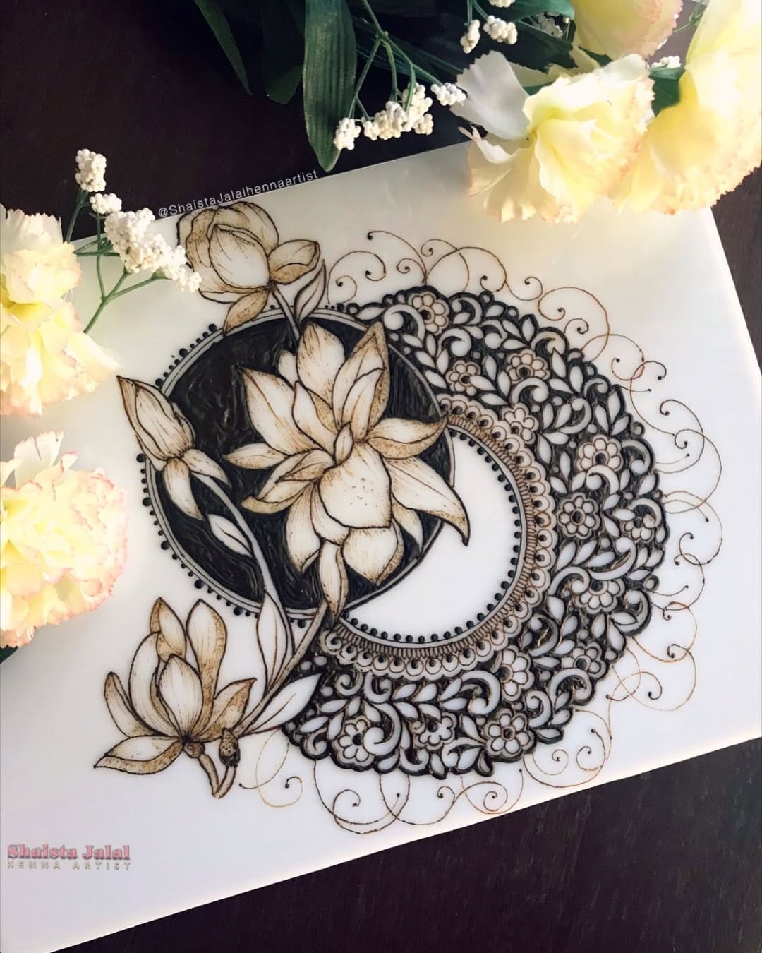 Post 9 by Shaista Jalal Qazi on Instagram (image)