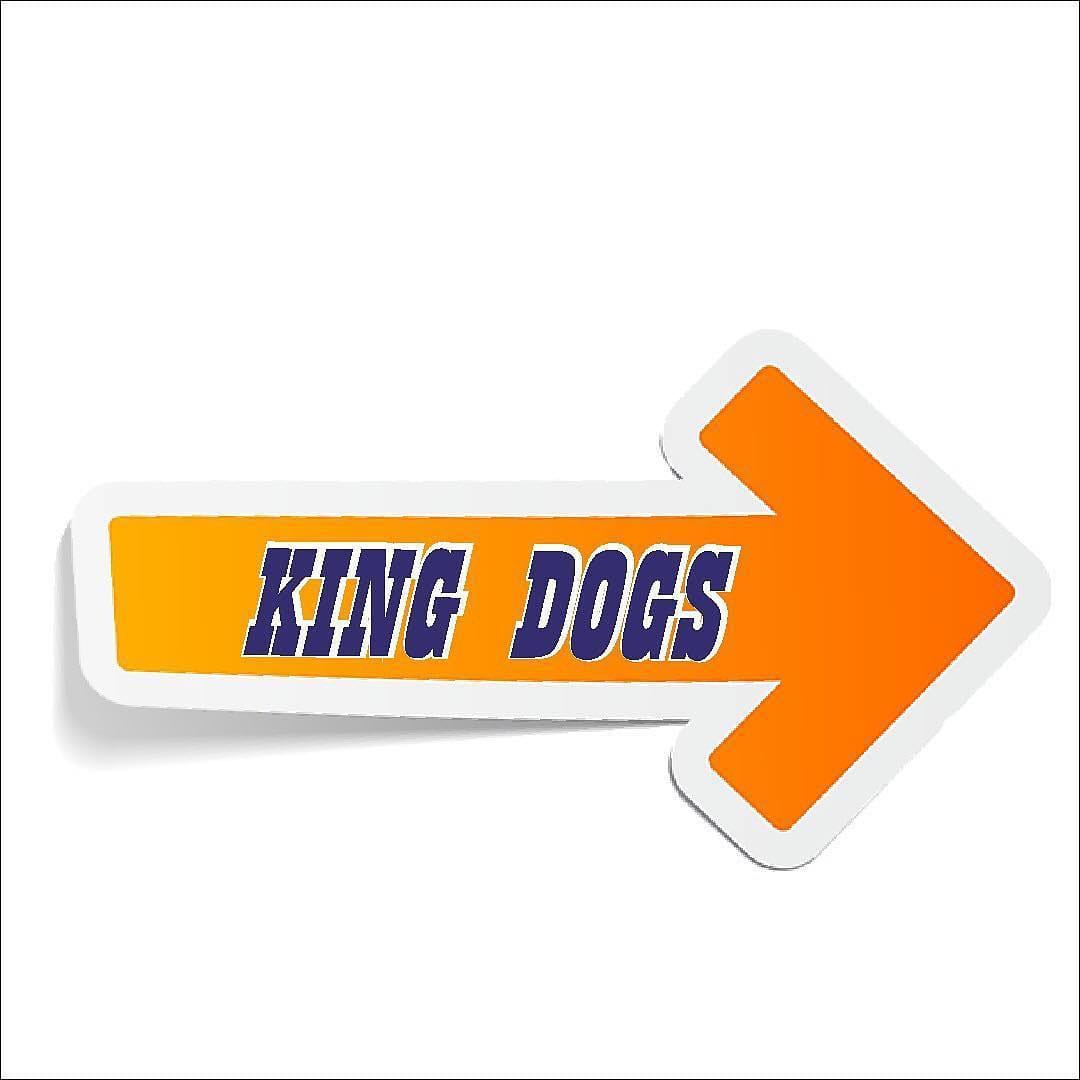 Post 1 by KING DOGS BISHKEK on Instagram (image)